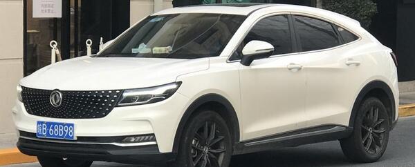 عکس هایی از ماشین دانگ فنگ