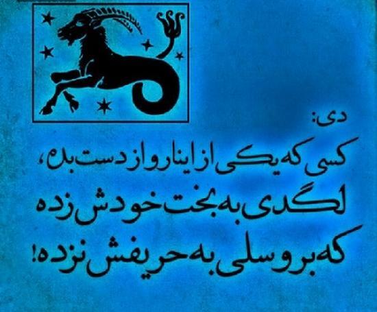 عکس استوری دی ماهی