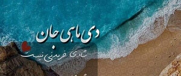 عکس استوری دی ماهی