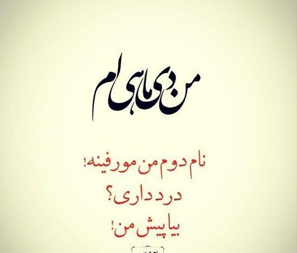 عکس استوری دی ماهی