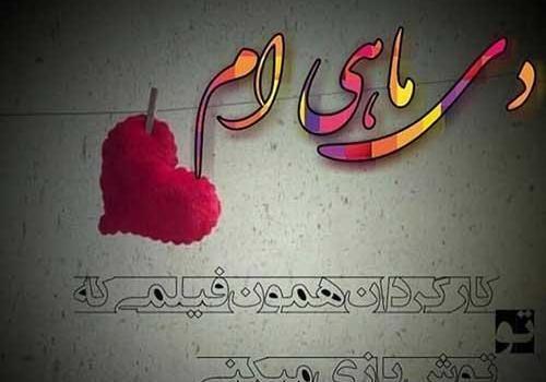عکس استوری دی ماهی