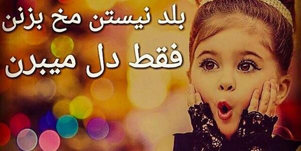 عکس استوری دی ماهی