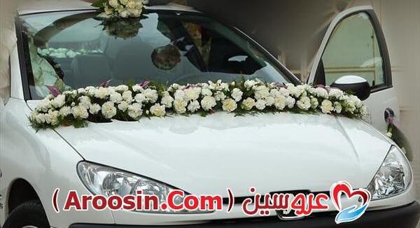 دانلود عکس ۲۰۶ اس دی سفید