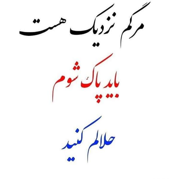 عکس شاید فردا نباشم حلالم کنید