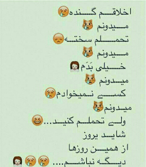 عکس شاید فردا نباشم حلالم کنید