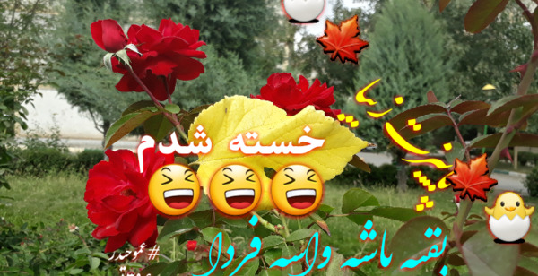 عکس فردا صبح