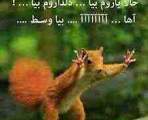 عکس فردا عیده