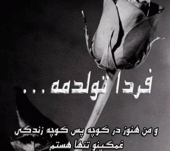 عکس قشنگ فردا تولدمه