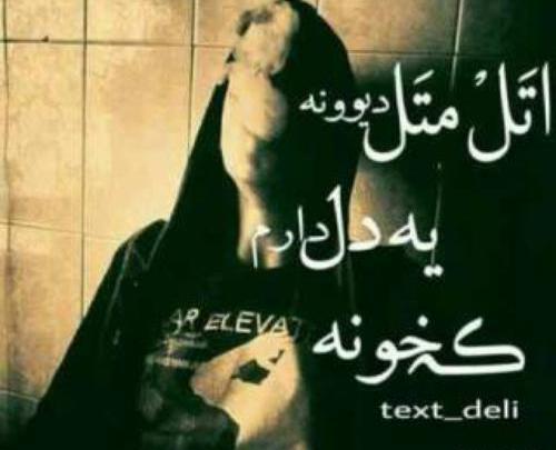 عکس کاش فردا بیدار نشم