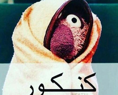 عکس نوشته فردا کنکور دارم