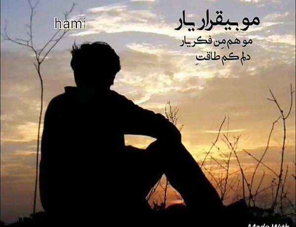 عکس اریا زمانی کیا