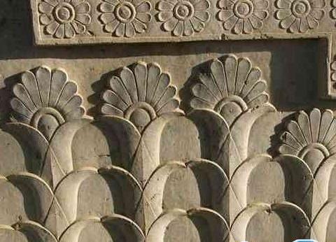 عکس گل لوتوس تخت جمشید