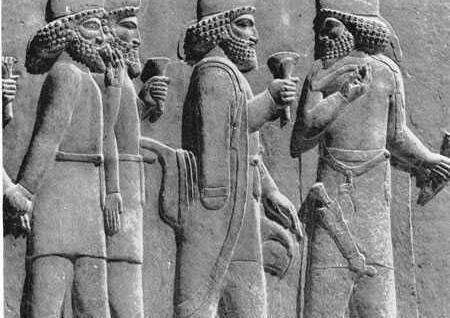 عکس گل لوتوس تخت جمشید
