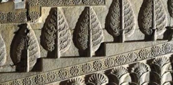 عکس گل لوتوس تخت جمشید