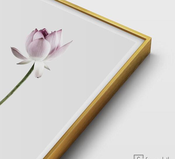 قاب عکس لوتوس
