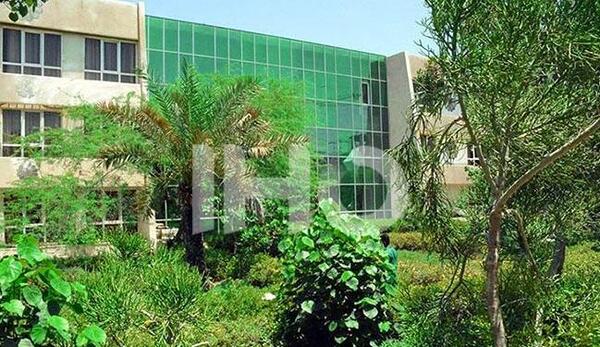 عکس از هتل لوتوس کیش