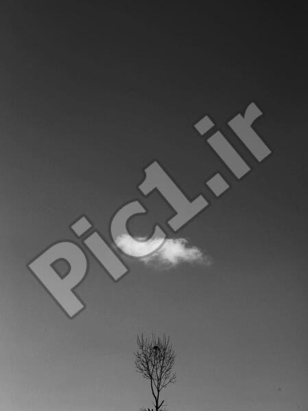 عکس مینیمال