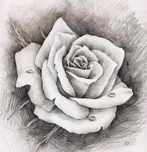 عکس سیاه قلم ساده گل