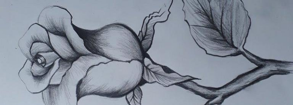 عکس سیاه قلم ساده گل
