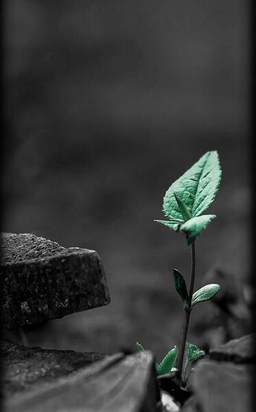 عکس بک گراند مشکی ساده