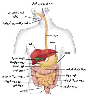 عکس مختاری فر