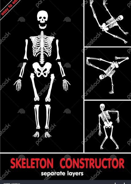 عکس اسکلت آسان