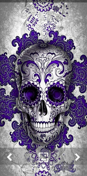 عکس اسکلت برای پس زمینه