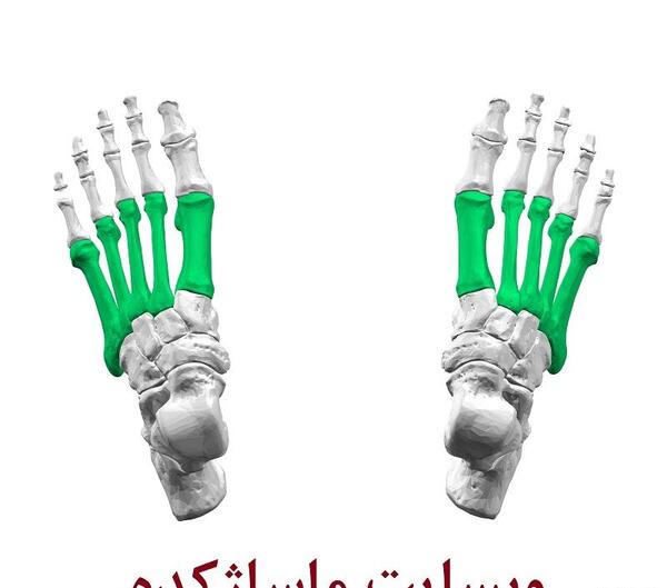 عکس اسکلت روی پا