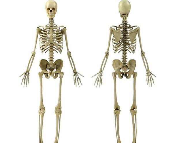 عکس اسکلت زنان