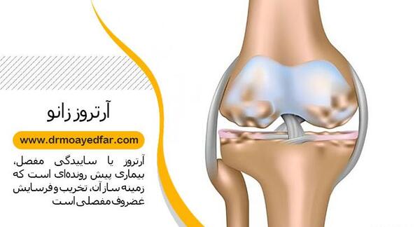 عکس اسکلت زانوی انسان