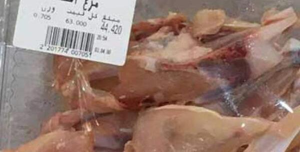 عکس اسکلت مرغ