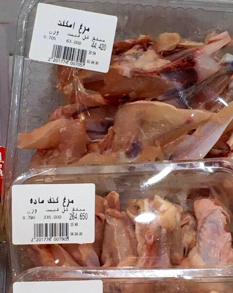 عکس اسکلت مرغ