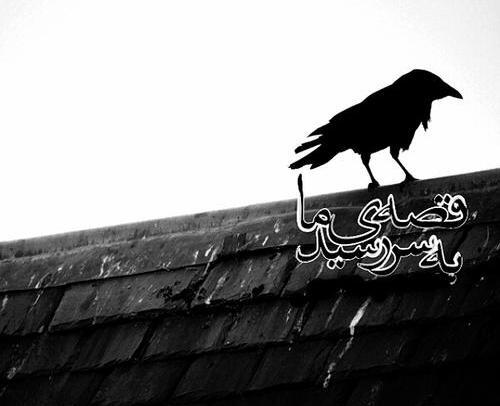 عکس عاشورا قصه مابه سر رسید