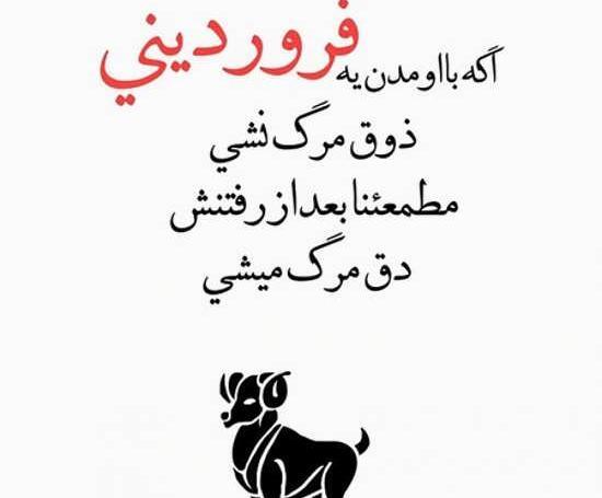 عکس ماه فروردین تولد