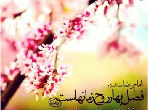 عکس بهاری زیبا و دلنشین