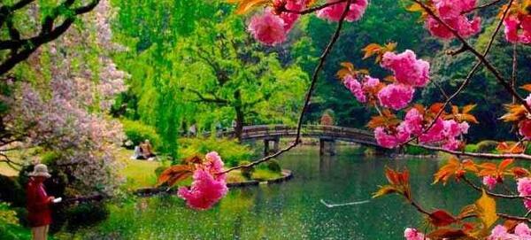 عکسهای طبیعت ژاپن
