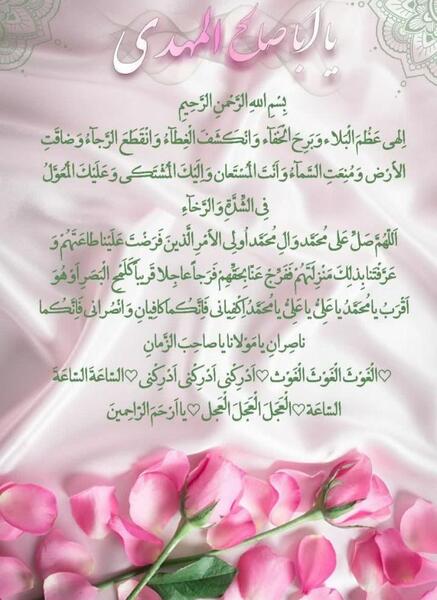 عکس گل حلما