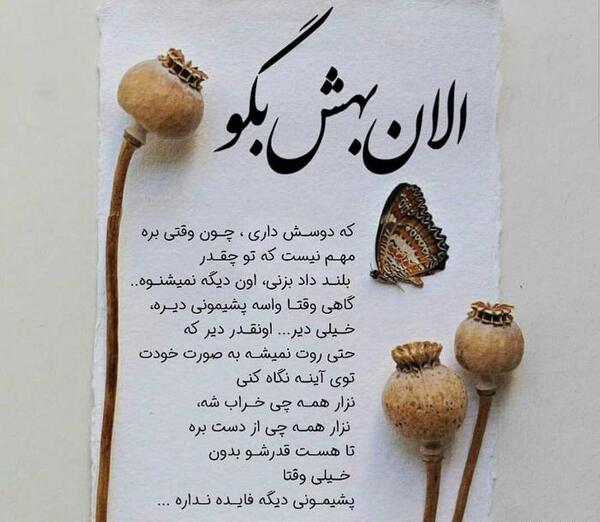 عکس دوست دارم ولی روم نمیشه بگم