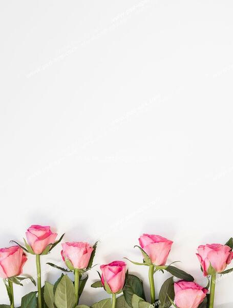 عکس سفید تزئینی