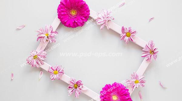 عکس سفید تزئینی