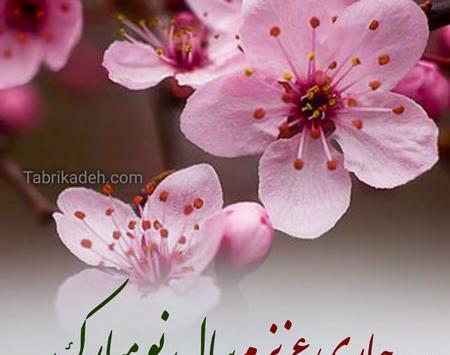 عکس سال نو مبارک جاری