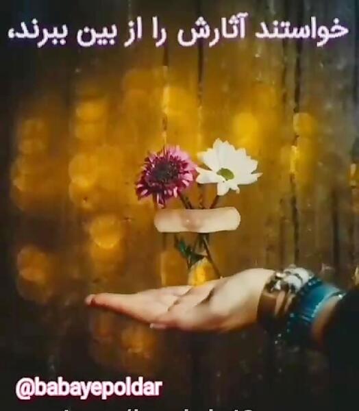 عکس نوشته خواستند یوسف را بکشند