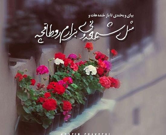عکس عاشقانه مینی
