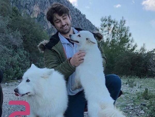 عکس سینان