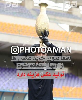 عکس سینا سعیدی فر