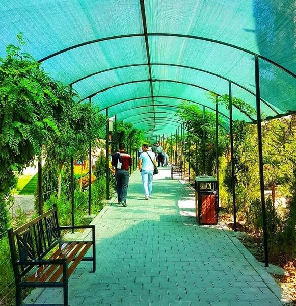 عکس پارک شقایق سعادت آباد