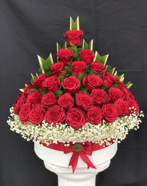 عکس شقایق رمضانی