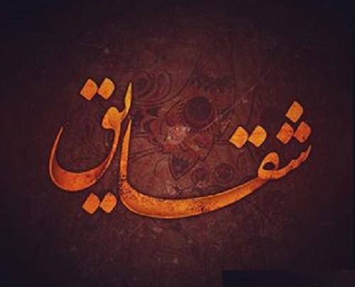 عکس طراحی شقایق