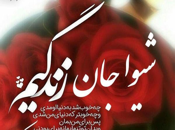 عکس پروفایل شیوا تولدت مبارک