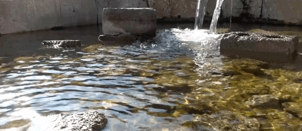 عکس چشمه شیرین